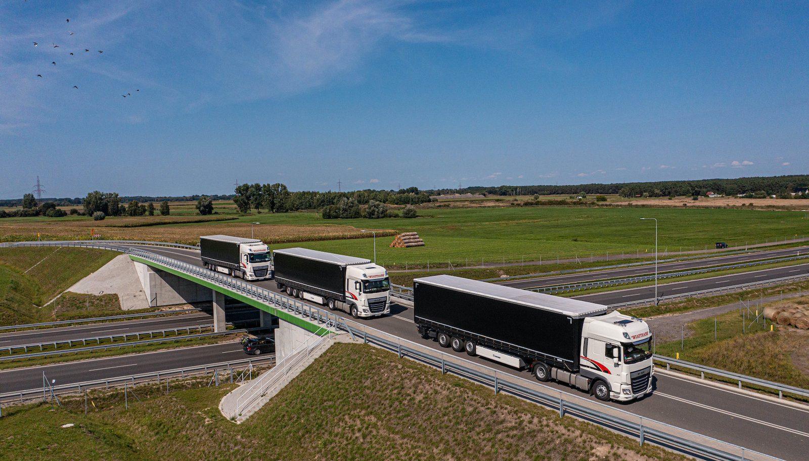 Transport międzynarodowy